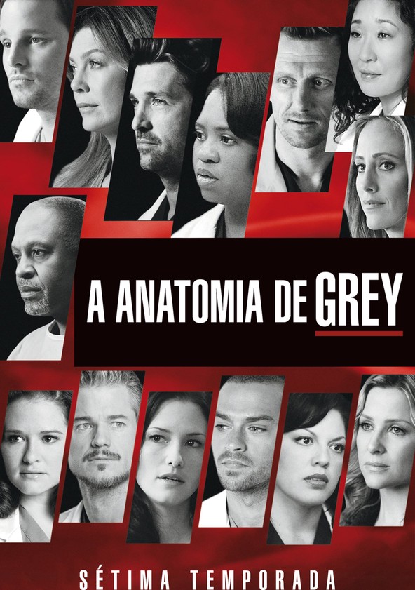 A Anatomia da Grey - Temporada 7