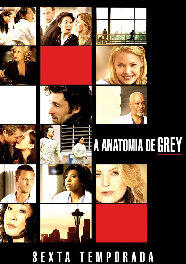 A Anatomia da Grey - Temporada 6