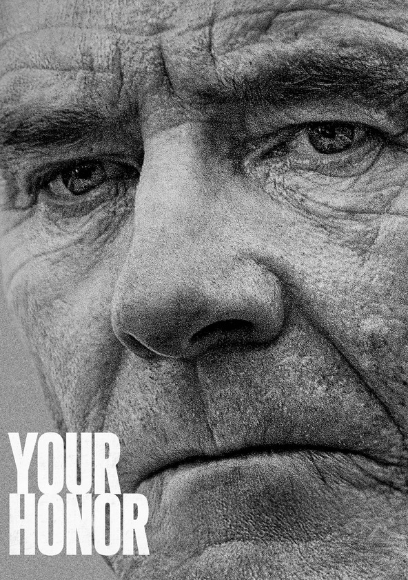 Your Honor - Temporada 1