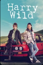 Harry Wild - Temporada 4