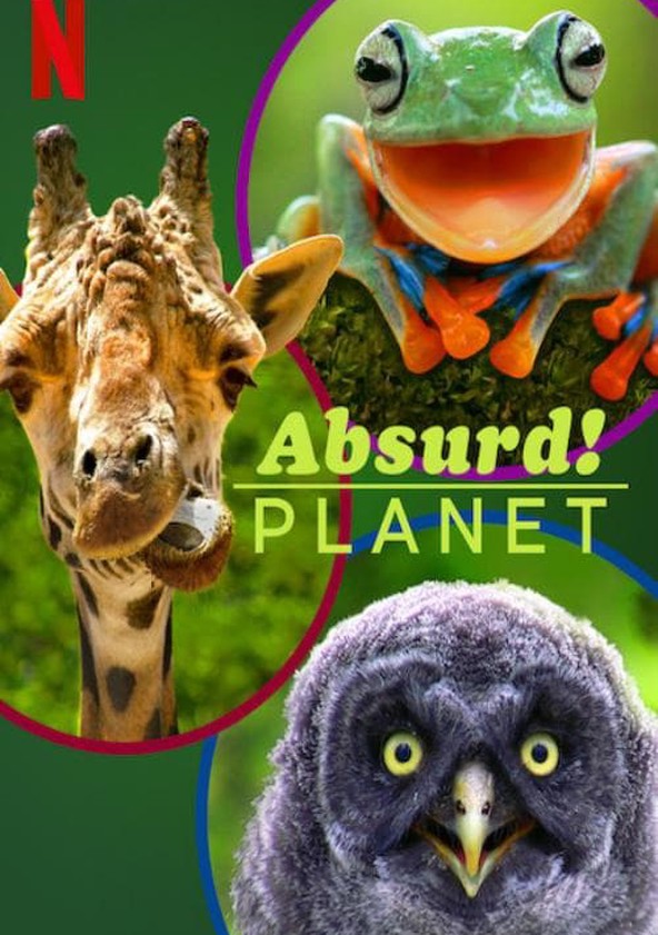 Planeta Bizarro - Temporada 1
