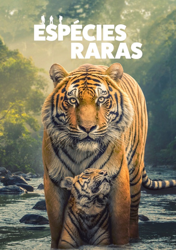 Os Selvagens - Temporada 1