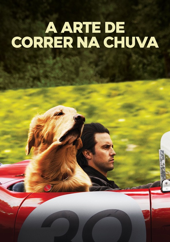 Meu Amigo Enzo