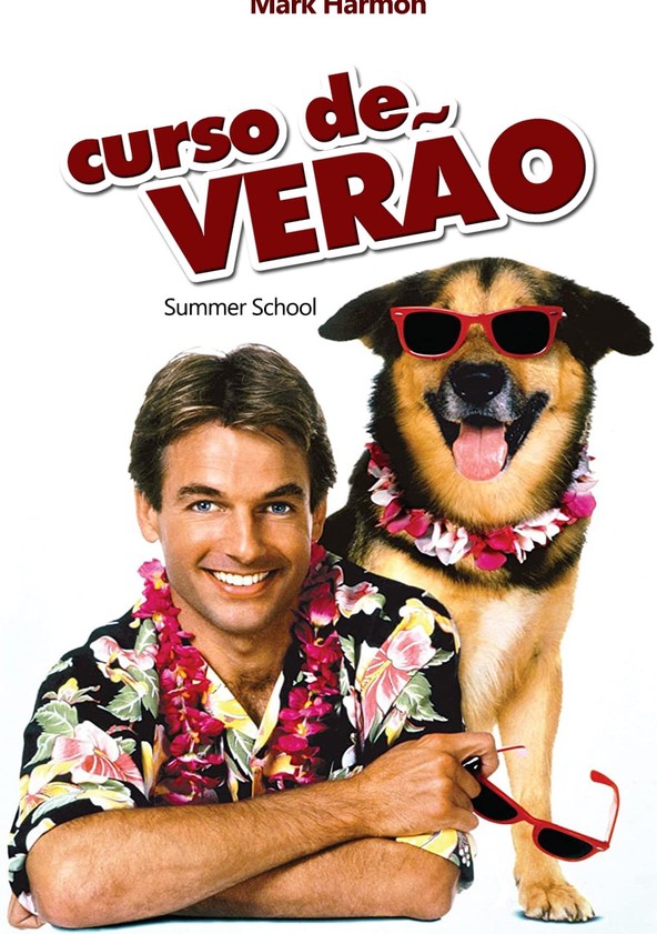 Curso de Verão