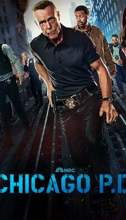 Chicago P.D. - Temporada 13