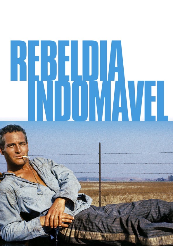 Rebeldia Indomável