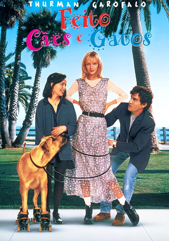 Feito Cães e Gatos