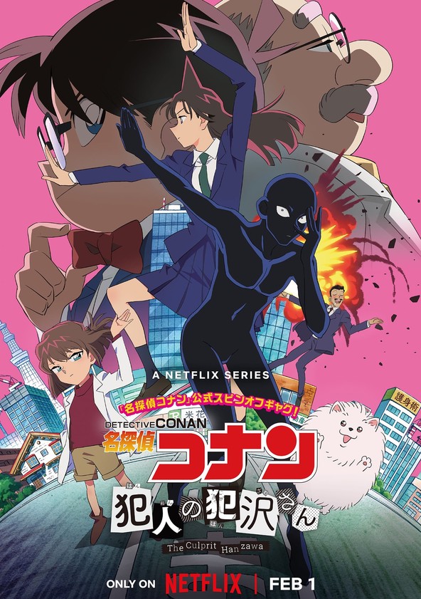 Detective Conan: Hanzawa el Culpable - Temporada 1