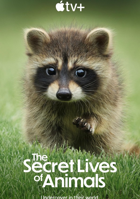 A Vida Secreta dos Animais - Temporada 1
