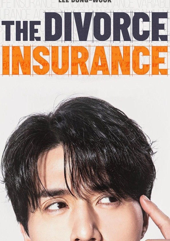 The Divorce Insurance - Temporada 1
