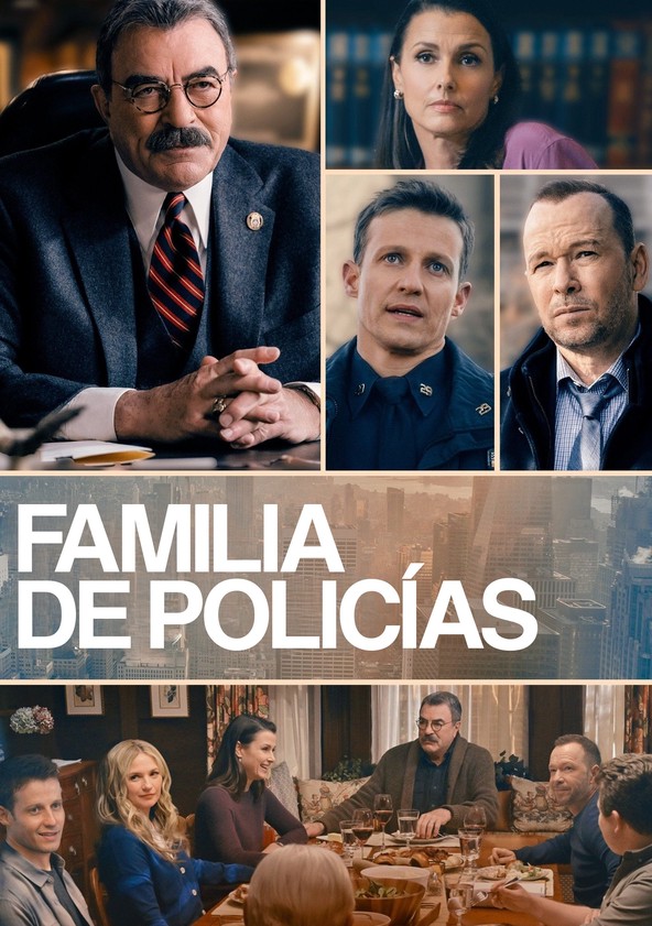Blue Bloods - Temporada 13