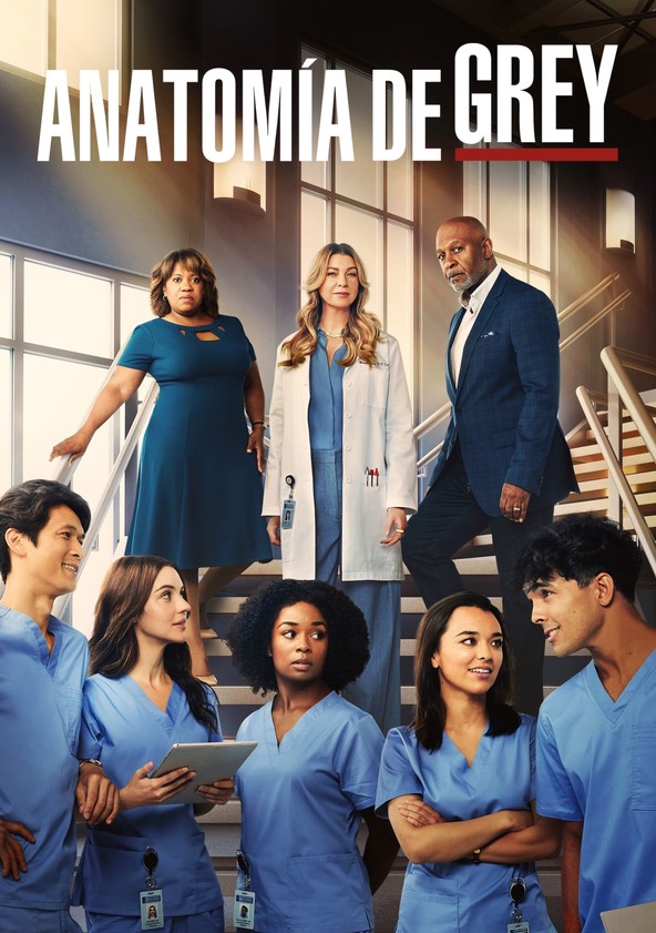 Grey's Anatomy - Temporada 19