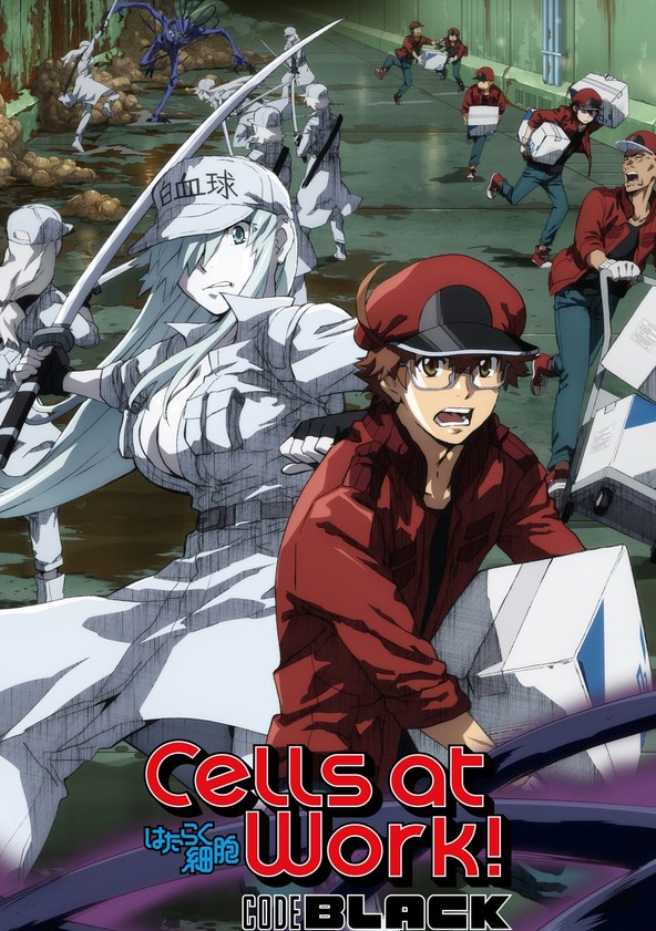 Hataraku Saibo Black - Temporada 1