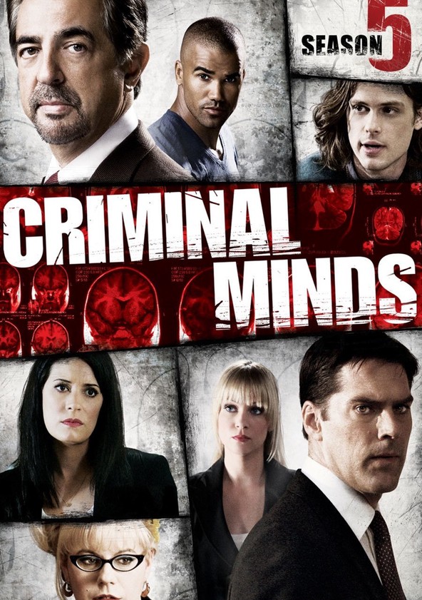 Mentes criminales - Temporada 5