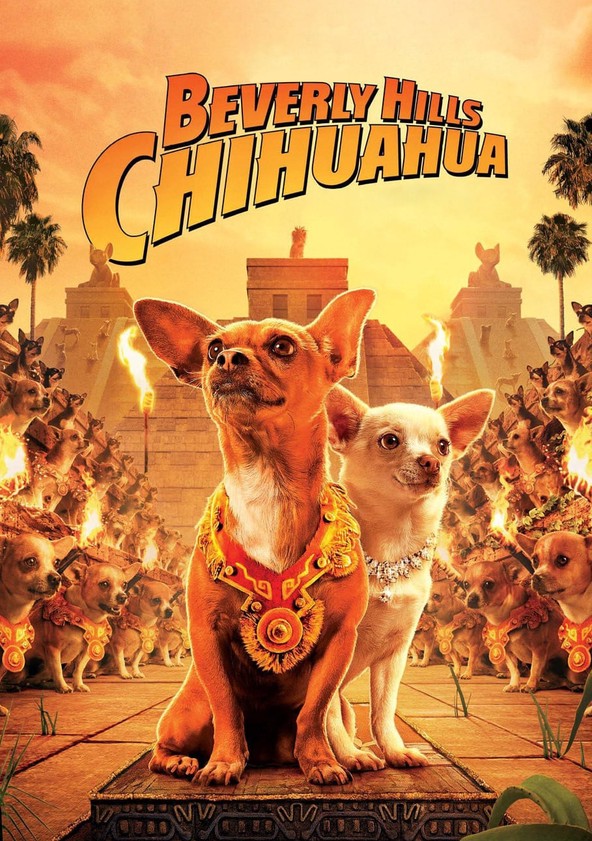 Una Chihuahua de Beverly Hills