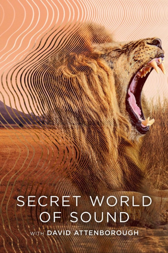 Secret World of Sound with David Attenborough - Temporada 1