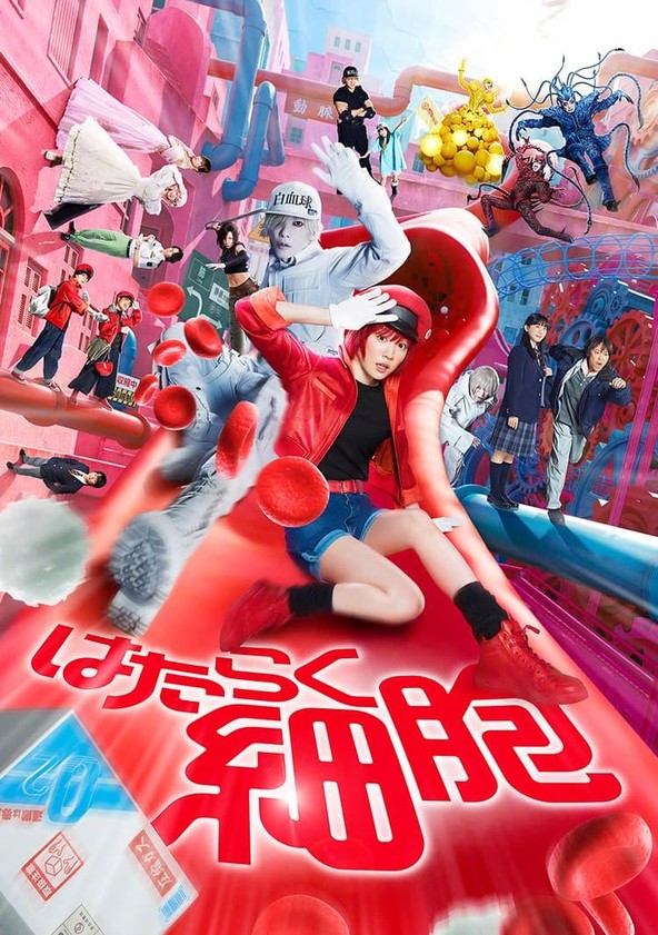 Hataraku saibou