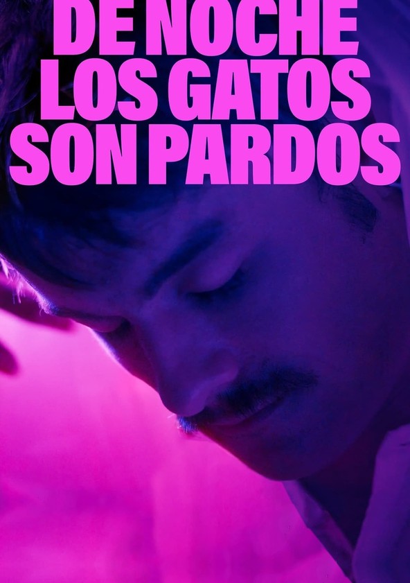 De noche los gatos son pardos