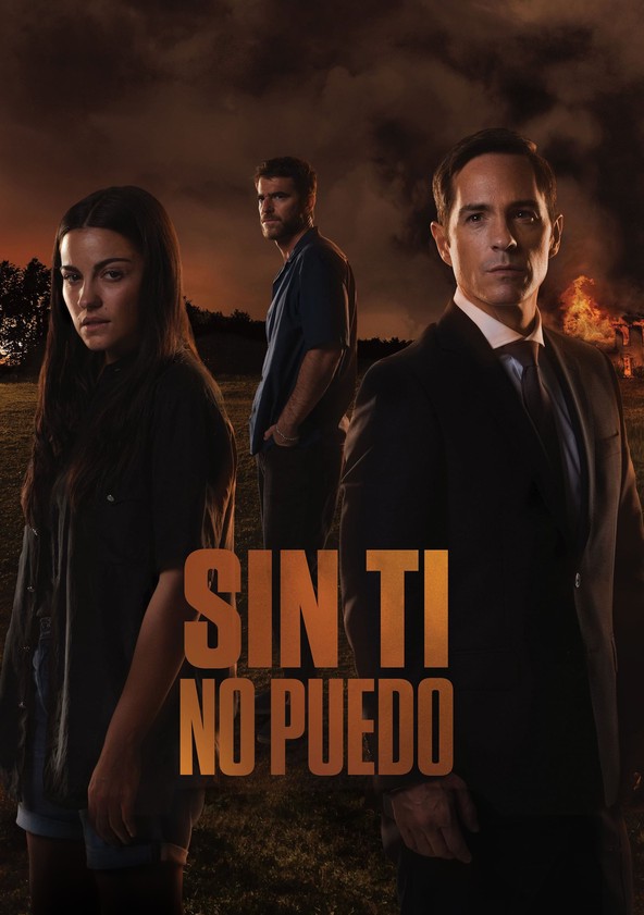 Sin ti no puedo