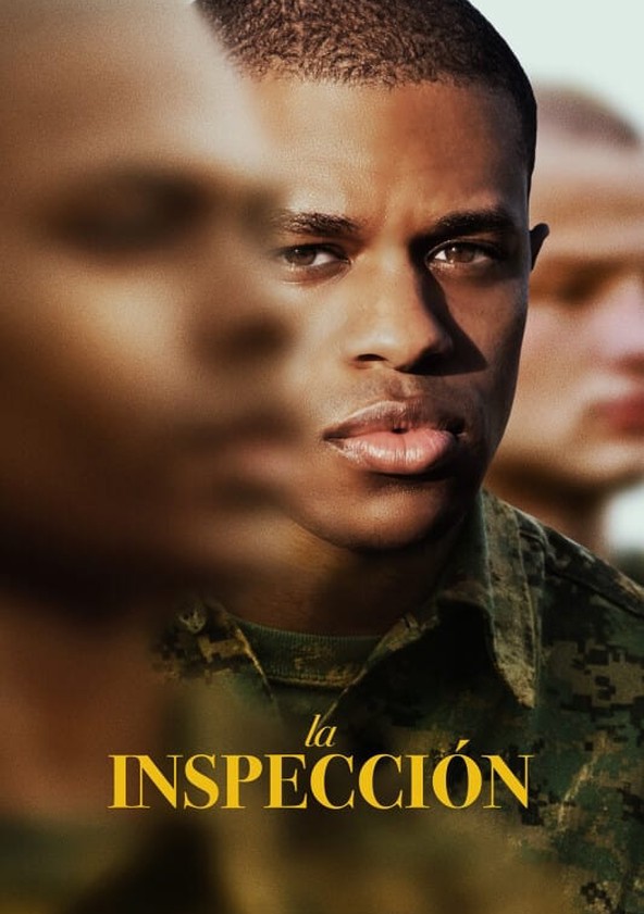 The Inspection