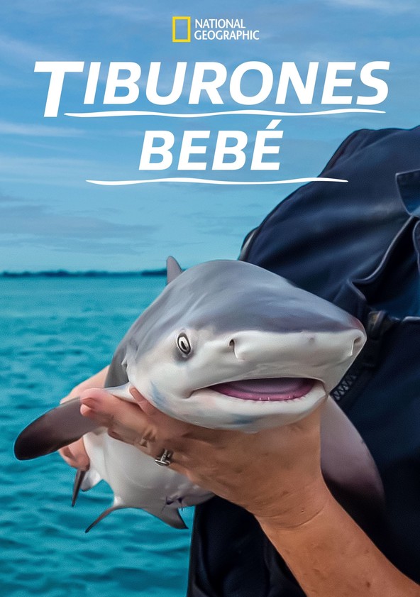 Baby Sharks