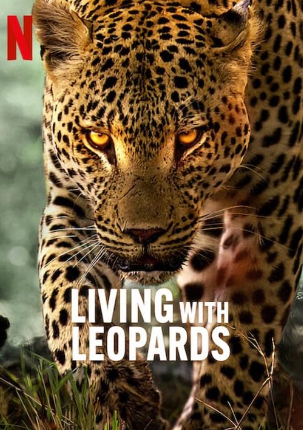 A Vida dos Leopardos
