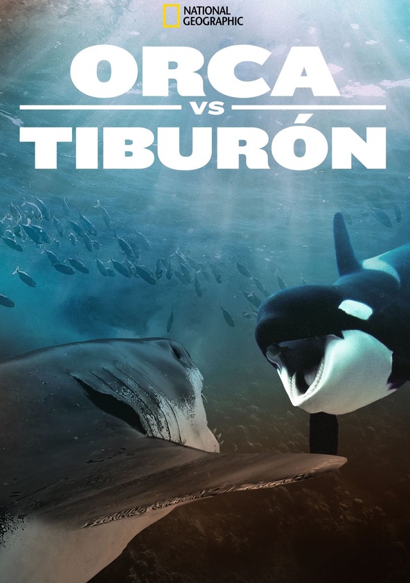 Orca vs. Great White