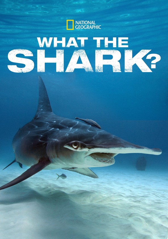 Los tiburones mas temibles