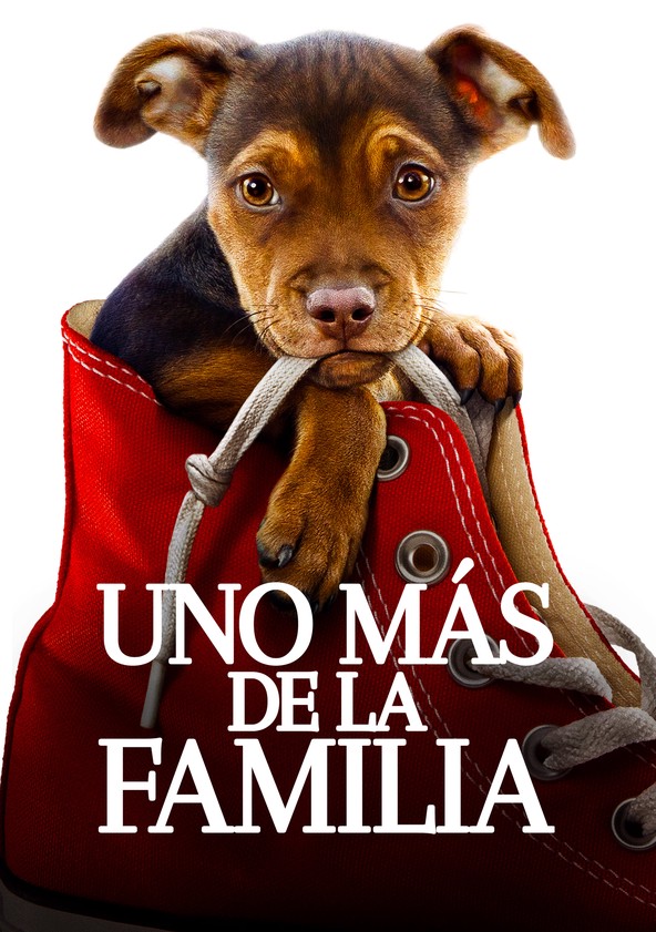 Mis huellas a casa