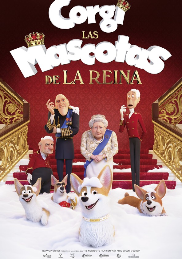 Corgi: un perro real
