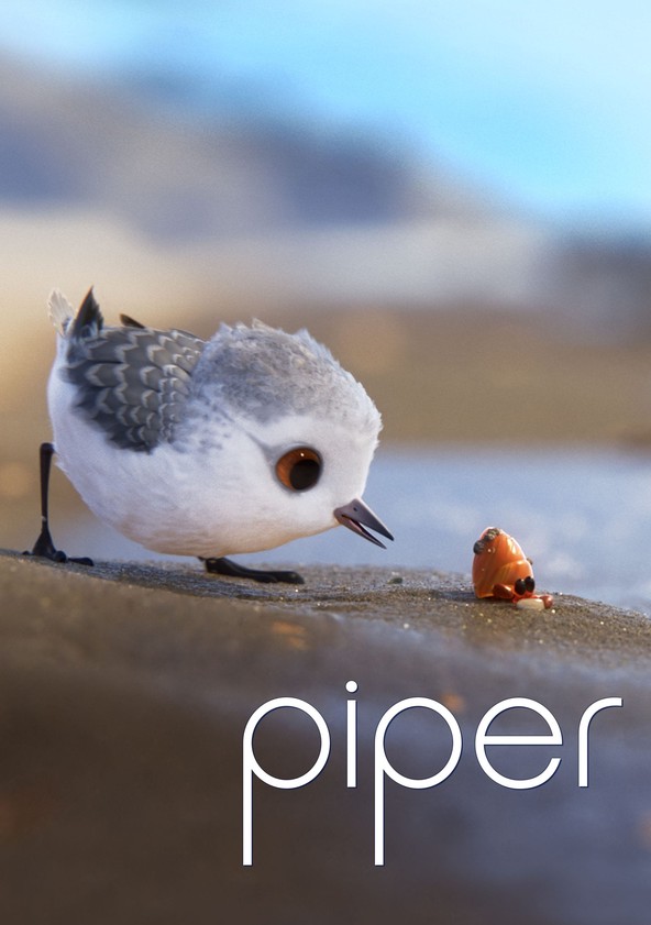 Piper