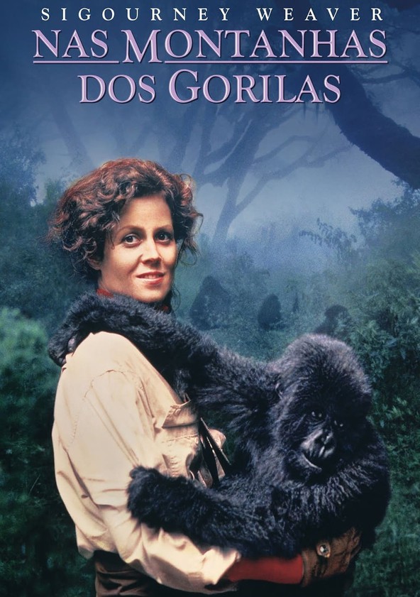 Nas Montanhas dos Gorilas