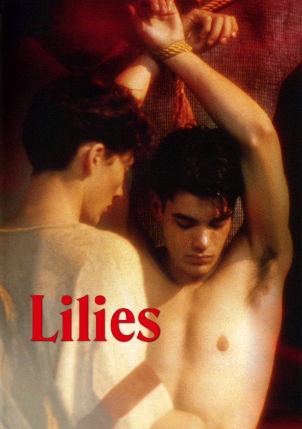 Lilies - Les feluettes