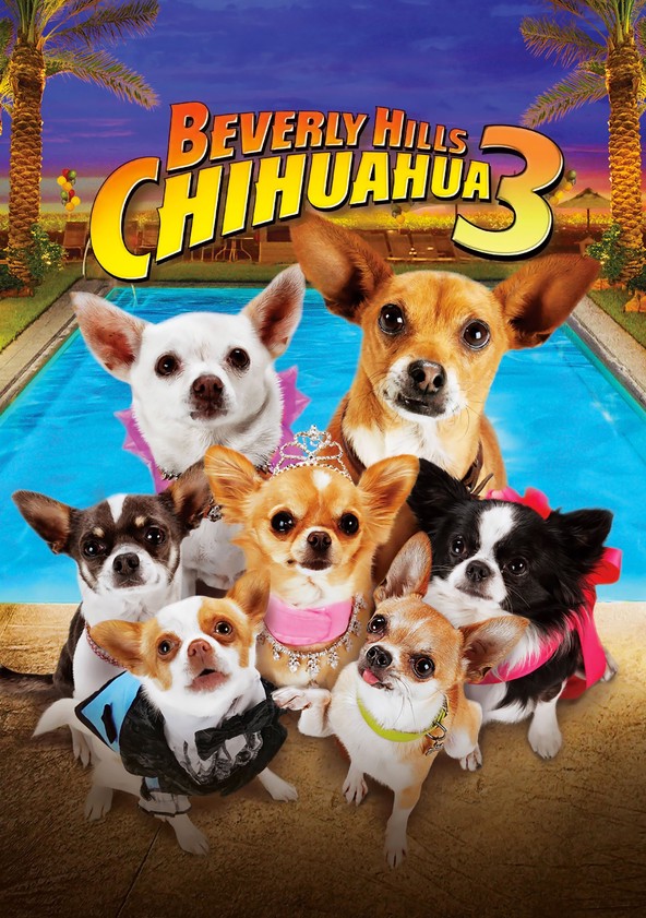 Un chihuahua en Beverly Hills 3: ¡Que viva la fiesta!