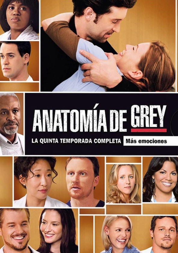 Grey's Anatomy - Temporada 5