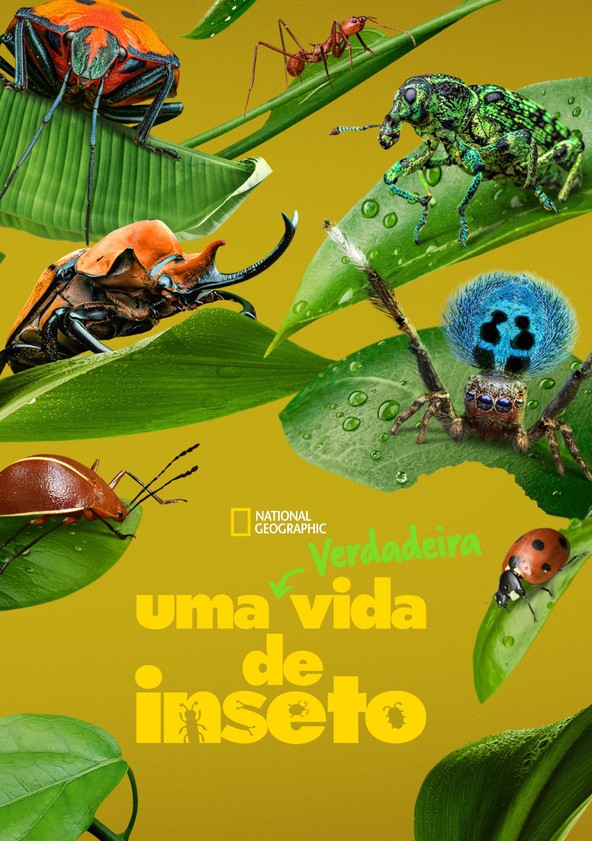 Uma Verdadeira Vida de Inseto - Temporada 1