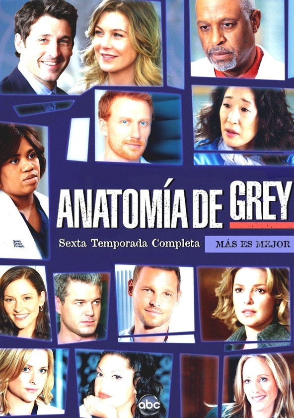 Grey's Anatomy - Temporada 6