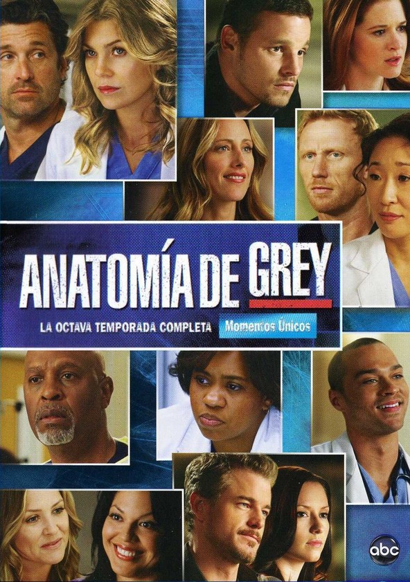 Grey's Anatomy - Temporada 8