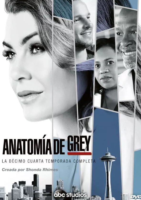 Grey's Anatomy - Temporada 14