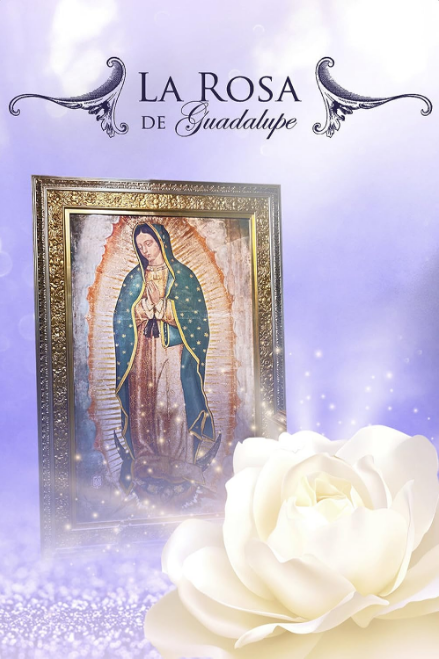 La rosa de Guadalupe - Temporada 1