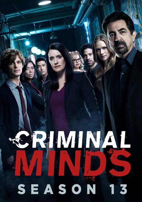 Mentes criminales - Temporada 13