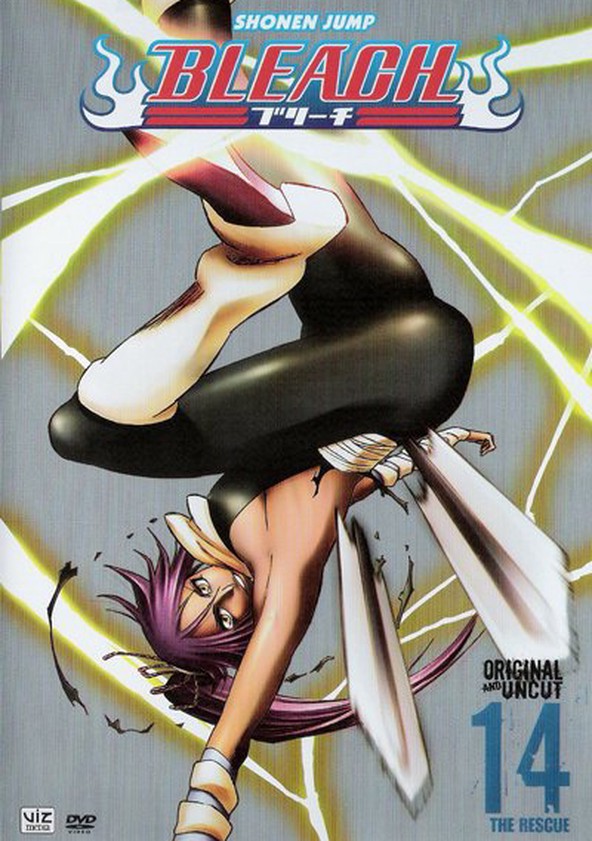Bleach - Temporada 14