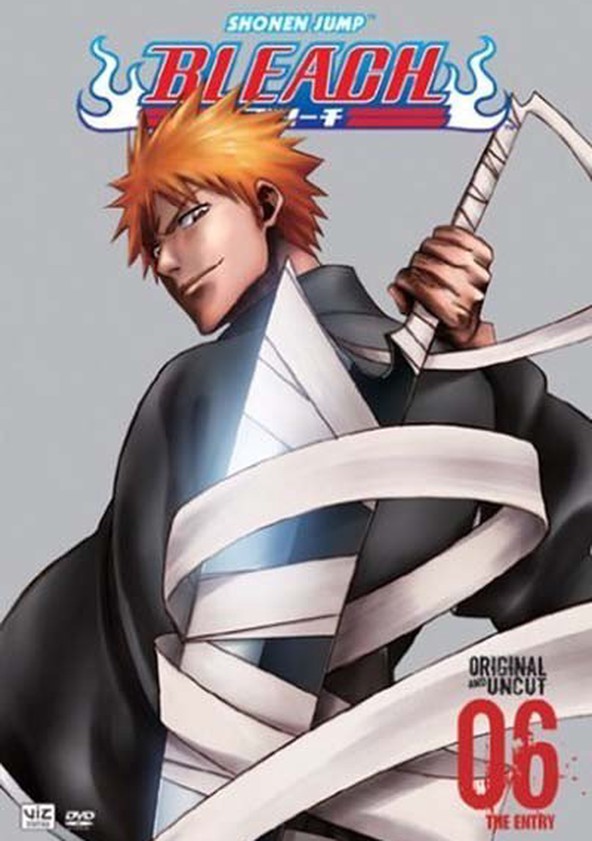 Bleach - Temporada 6