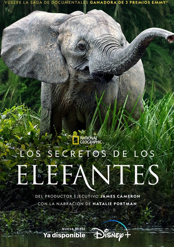Secretos de los elefantes - Temporada 1