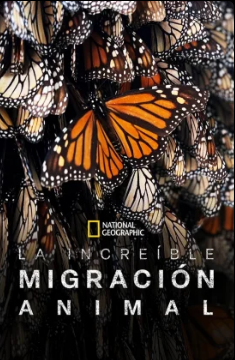 Viajes increíbles de animales - Temporada 1
