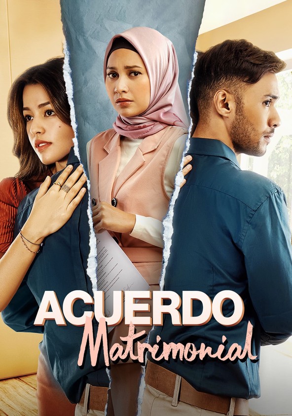 Acuerdo de boda: la serie - Temporada 1