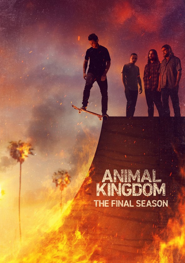 Animal Kingdom - Temporada 6