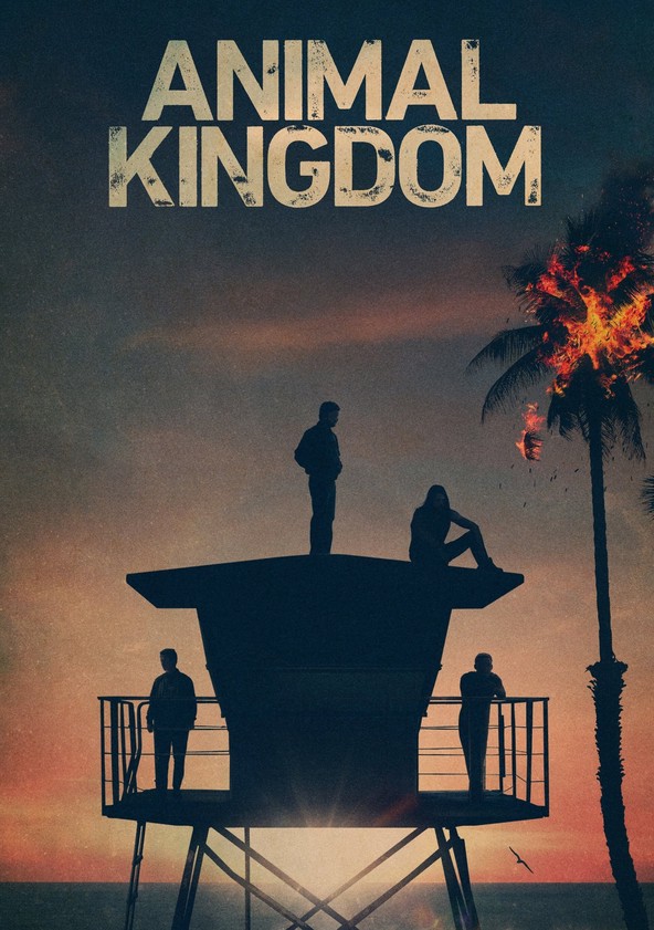 Animal Kingdom - Temporada 5