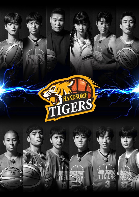 Handsome Tigers - Temporada 1