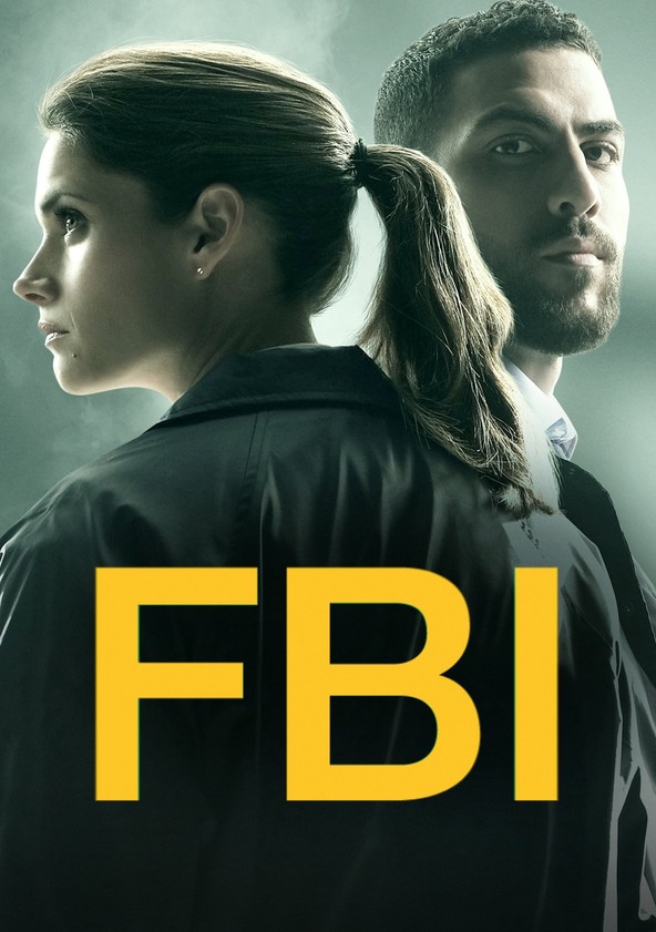 F.B.I. - Temporada 2
